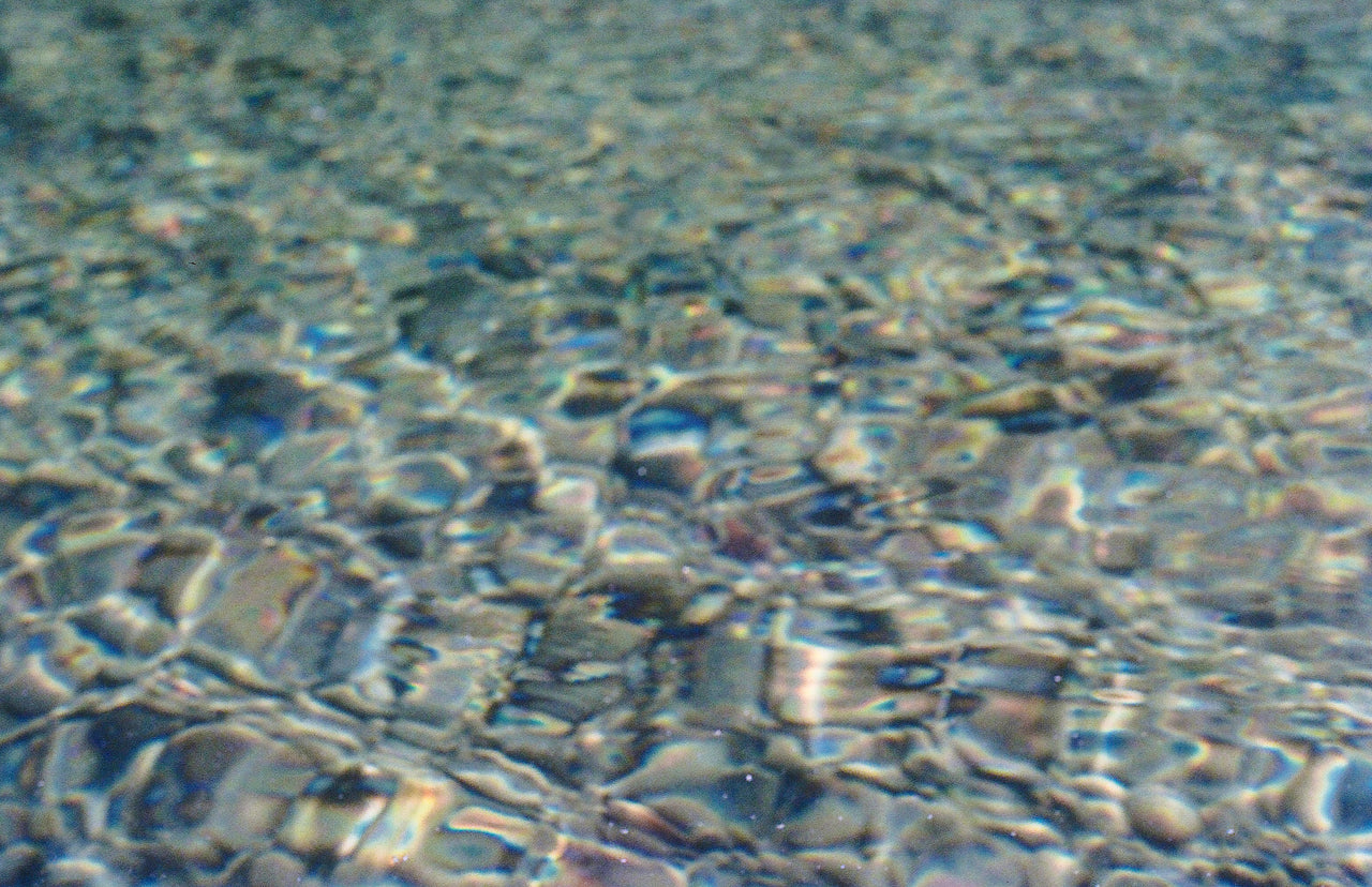 Clear Water by Genevieve Pierson