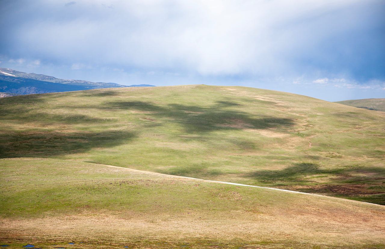 Cloud Shadows by Genevieve Pierson