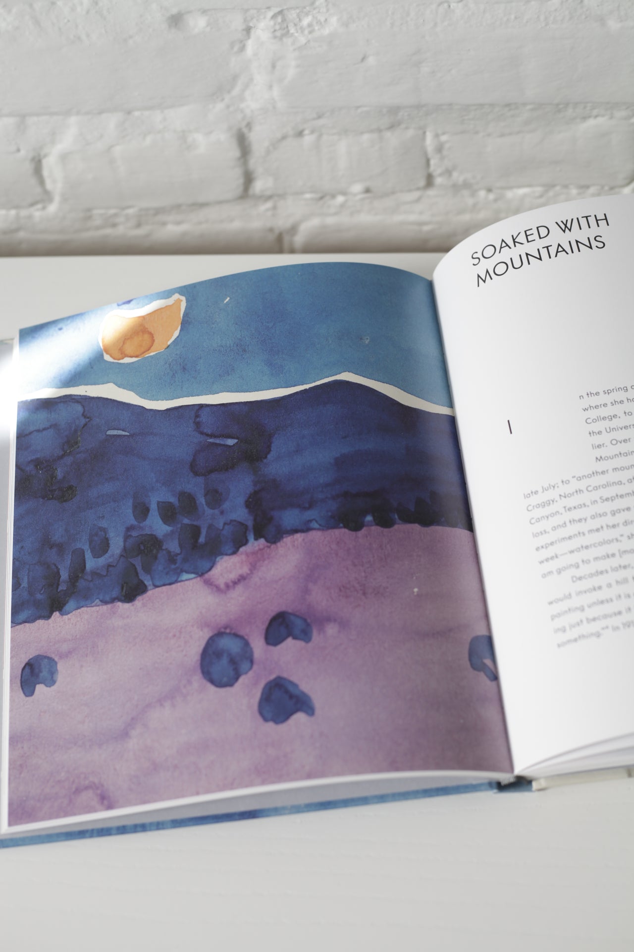 Georgia O’Keeffe: To See Takes Time