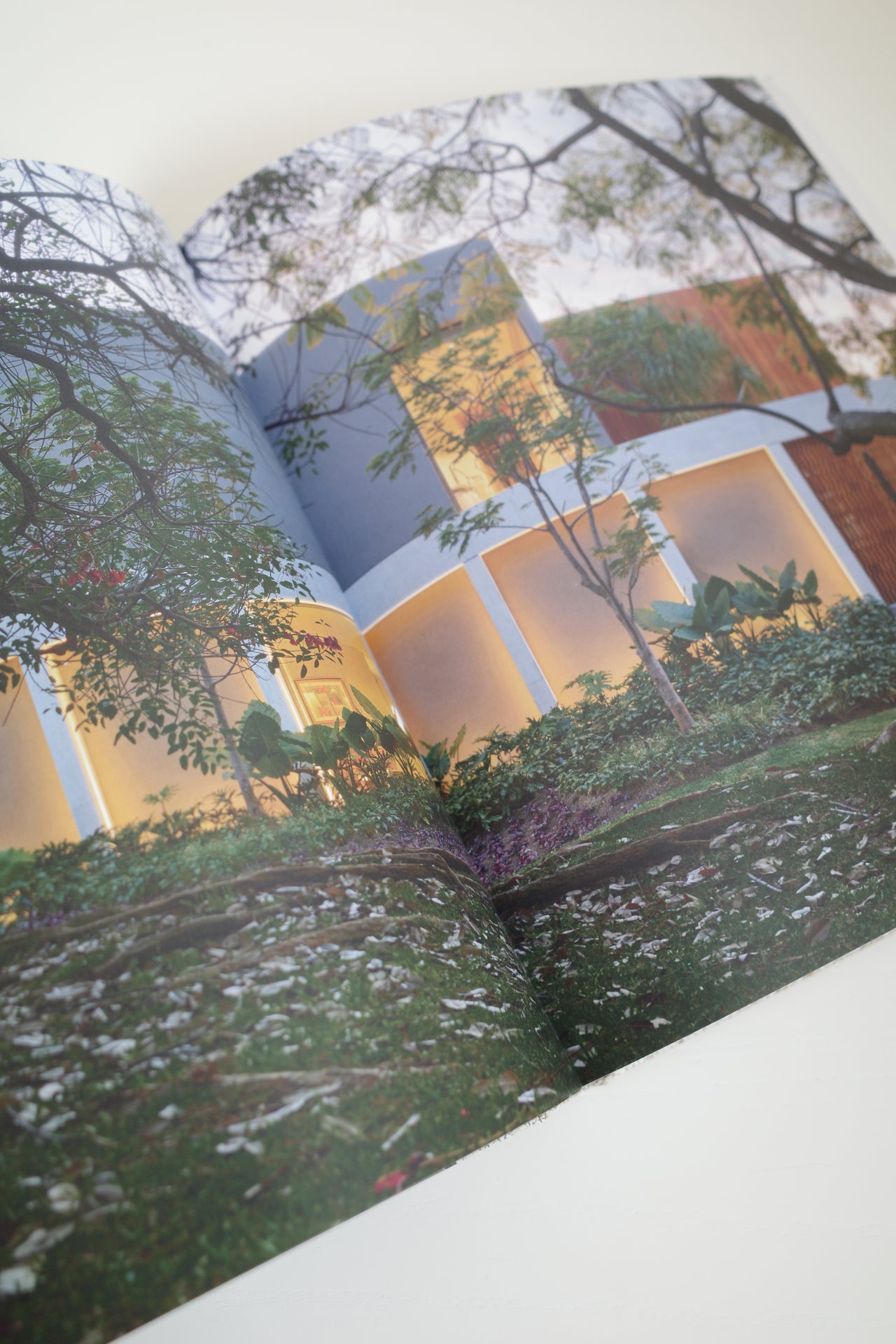 Ezequiel Farca Studio