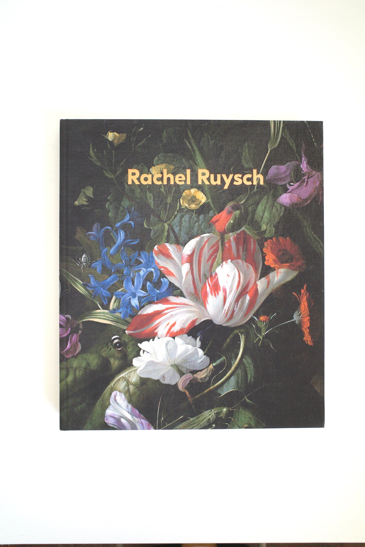 Rachel Ruysch: Nature into Art