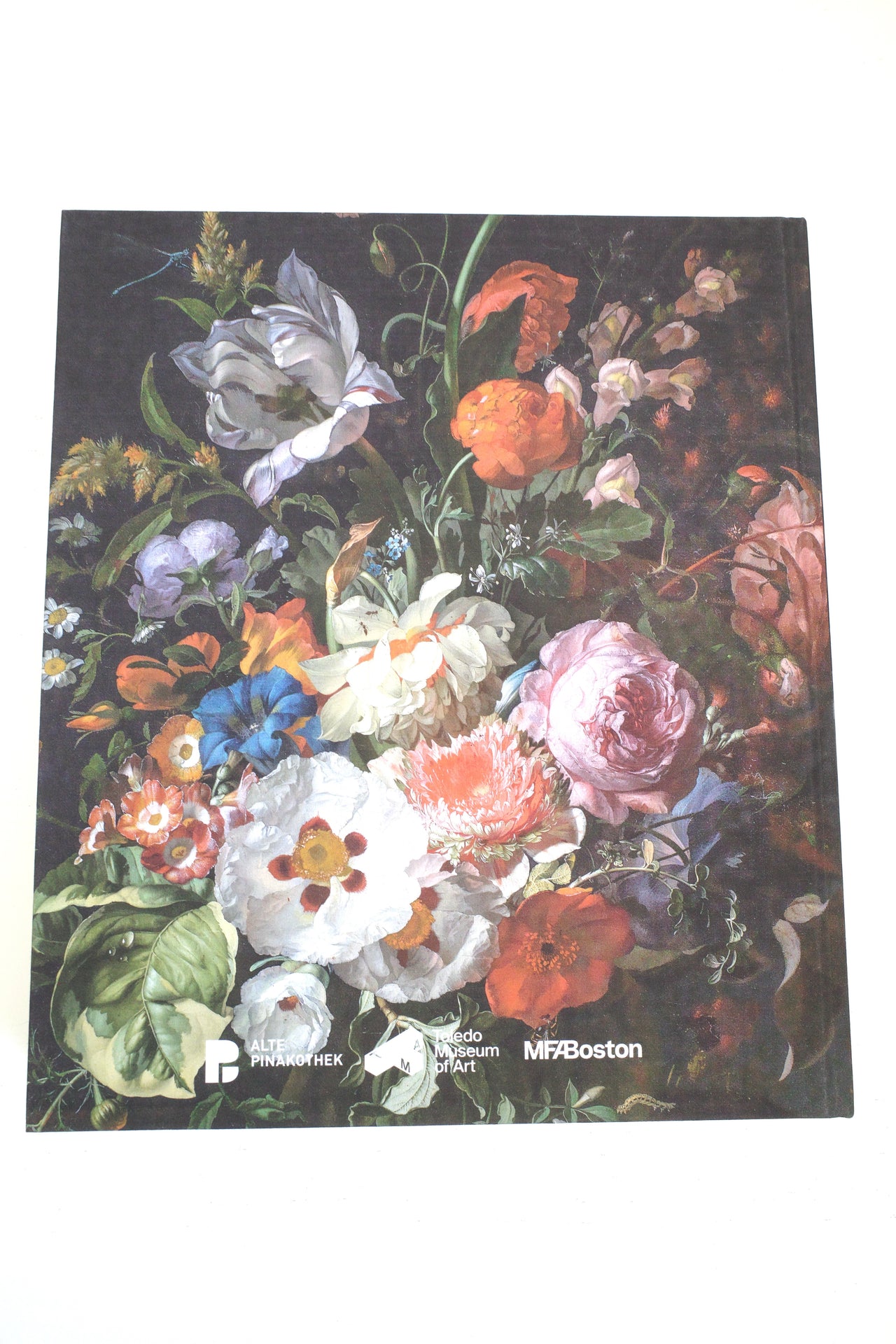 Rachel Ruysch: Nature into Art