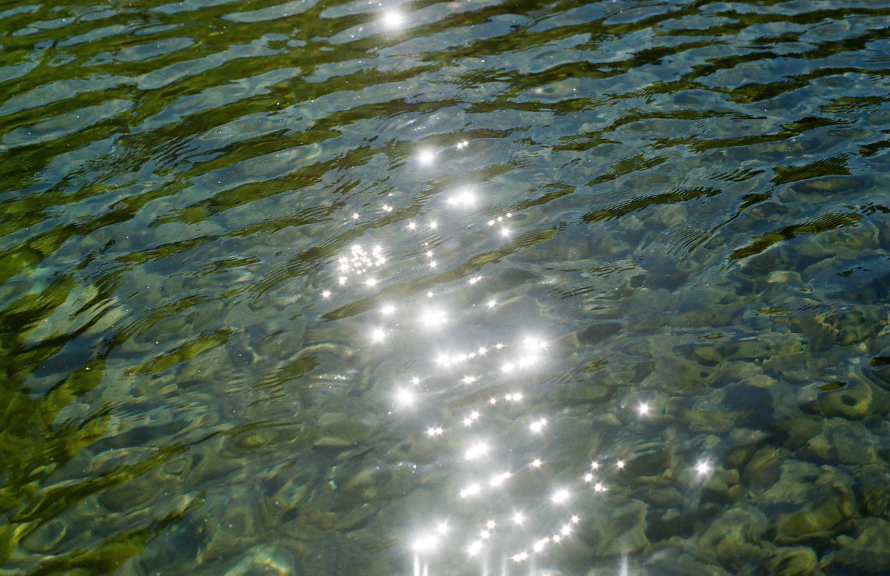 Water Stars by Genevieve Pierson
