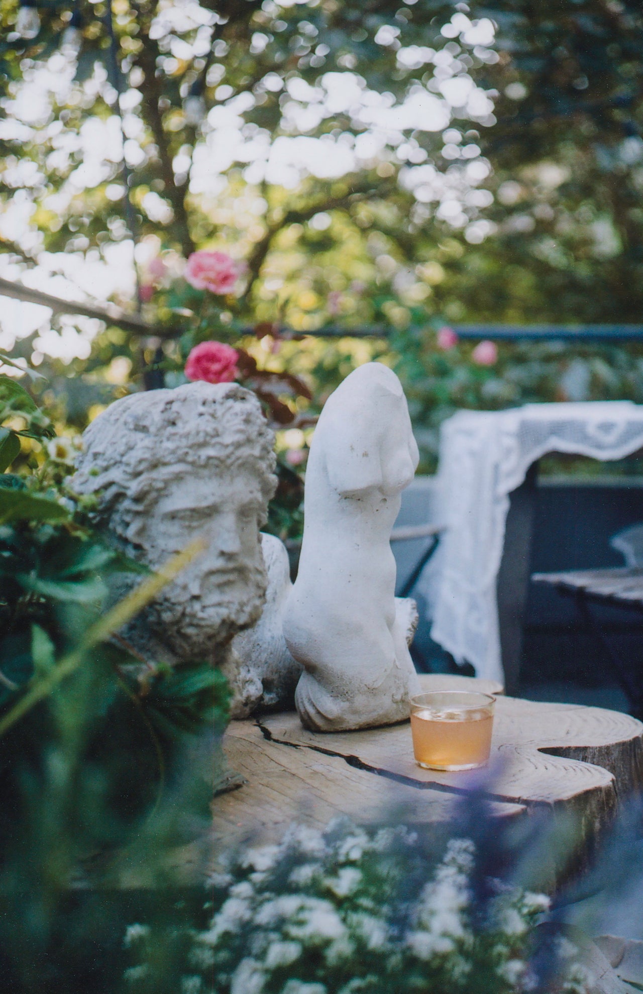 And Here by Genevieve Pierson