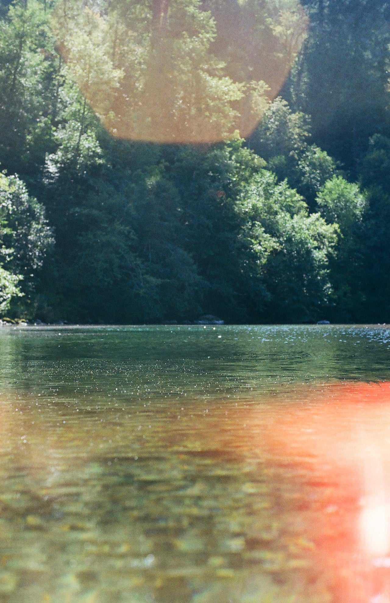 From The Water by Genevieve Pierson