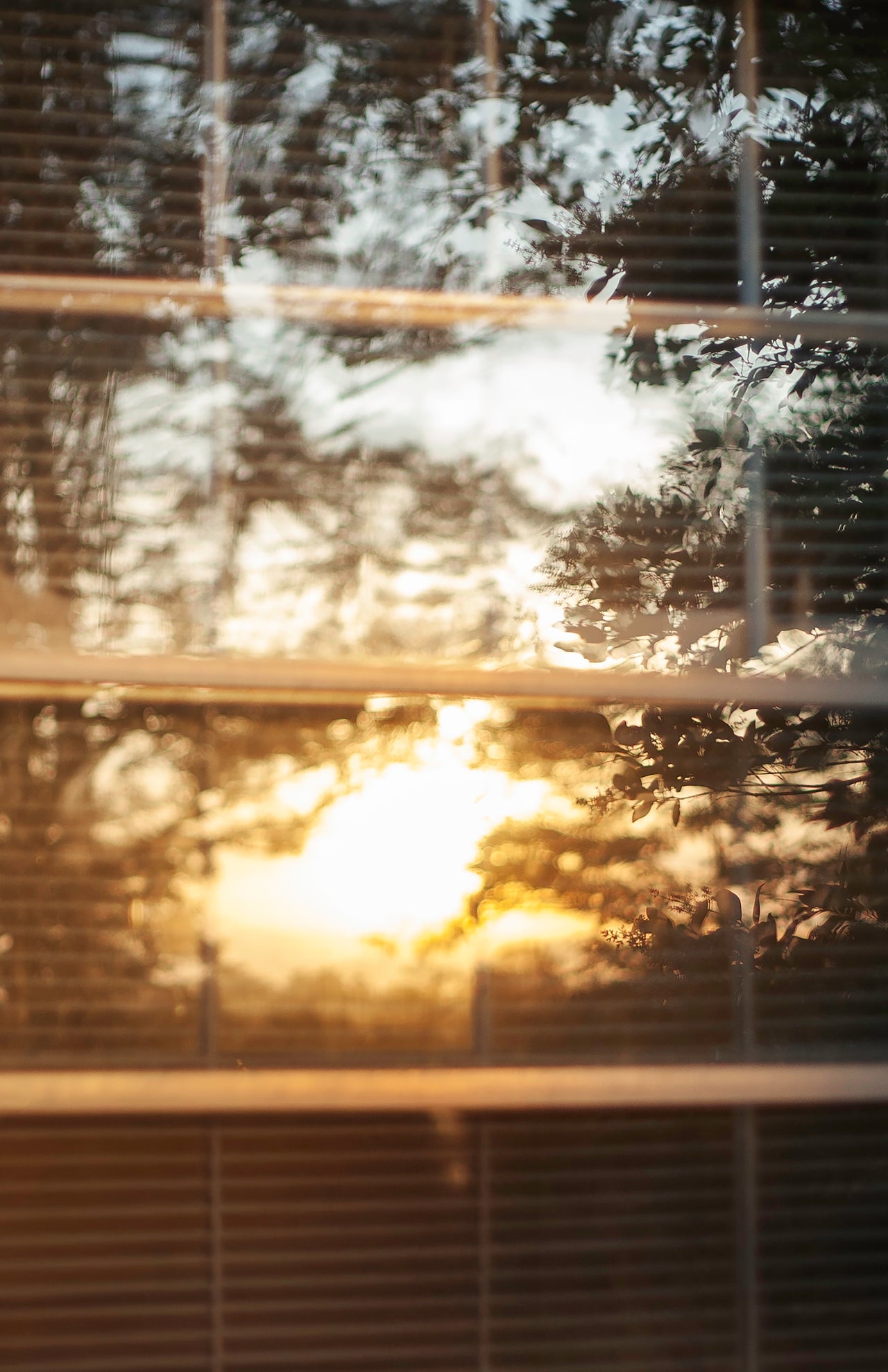 Inside Sun by Genevieve Pierson