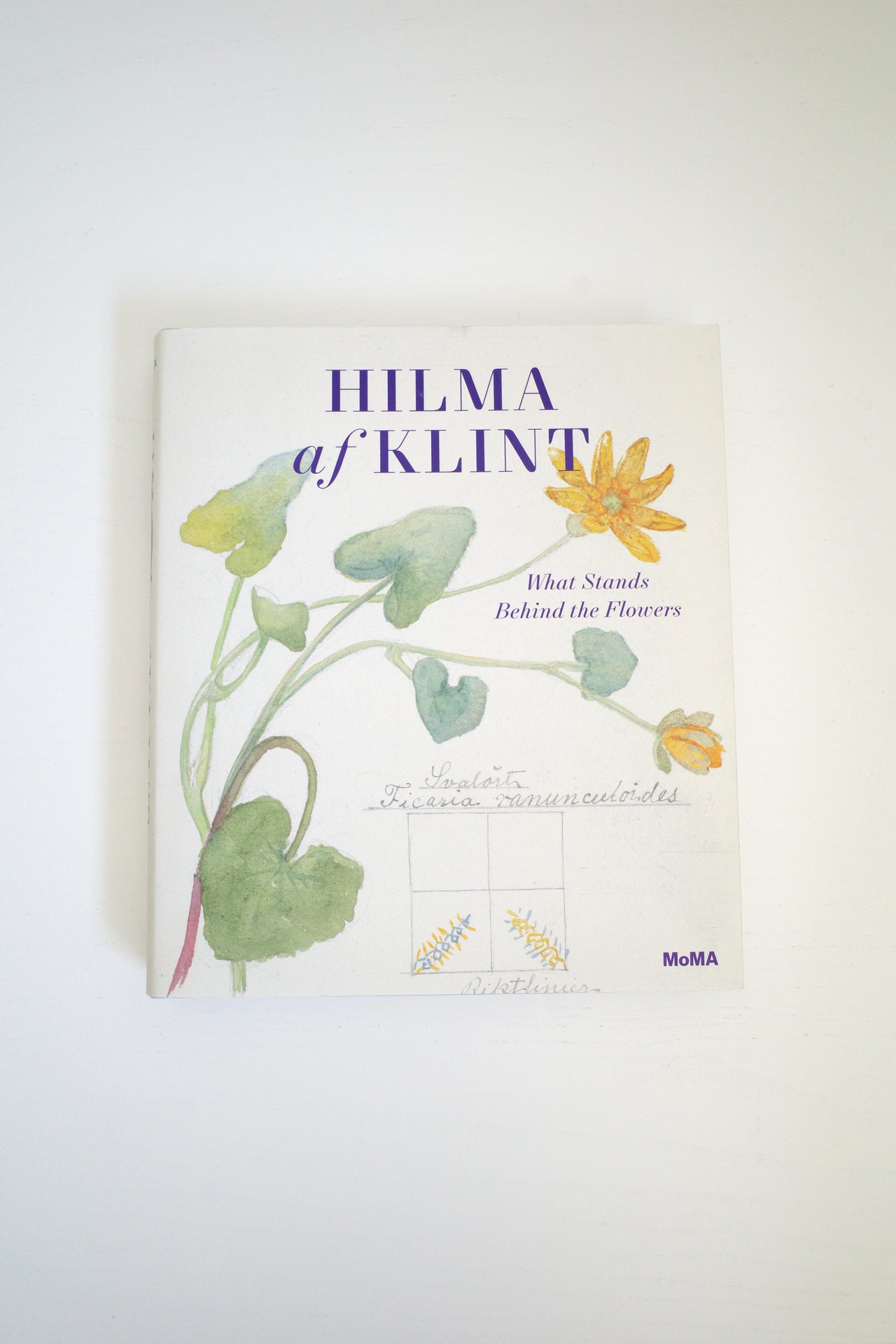 Hilma Af Klimt: What Stands Behind the Flowers