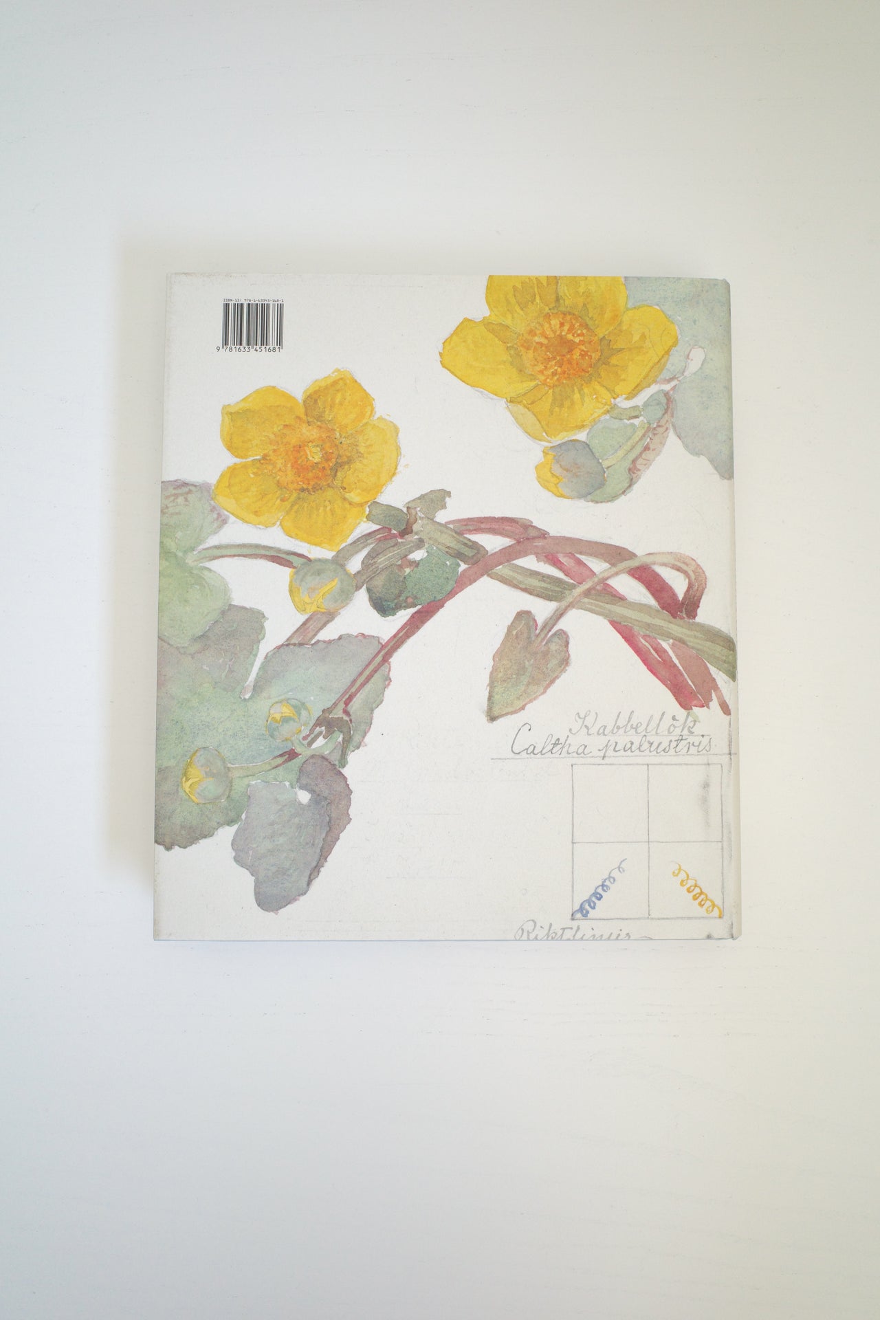Hilma Af Klimt: What Stands Behind the Flowers