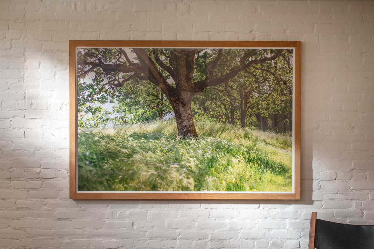 Bow Often by Genevieve Pierson