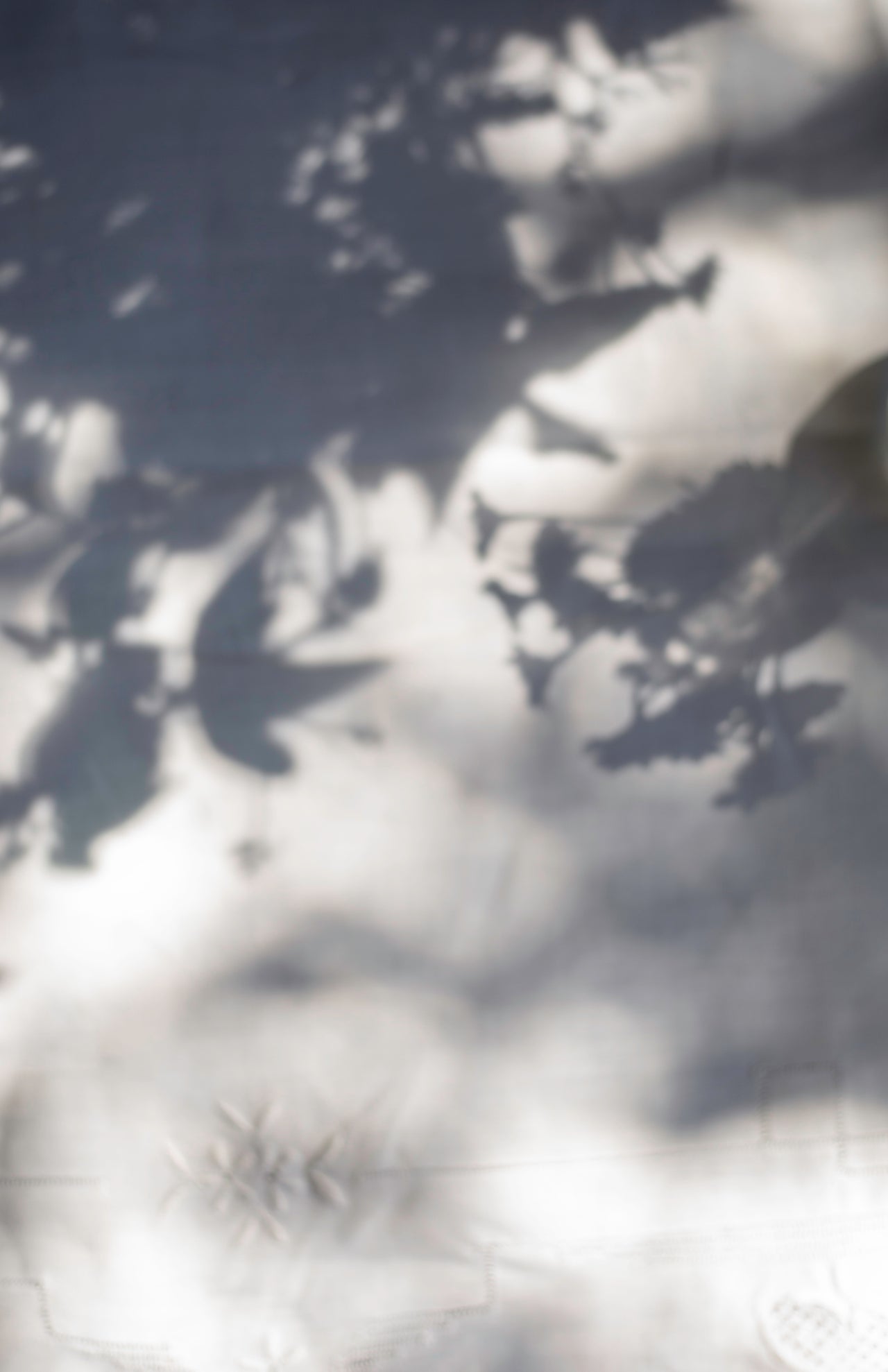 Tablecloth by Genevieve Pierson